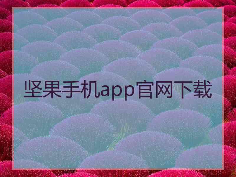 坚果手机app官网下载