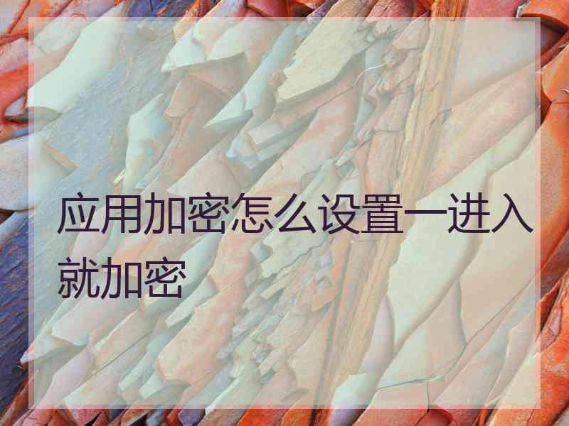 应用加密怎么设置一进入就加密