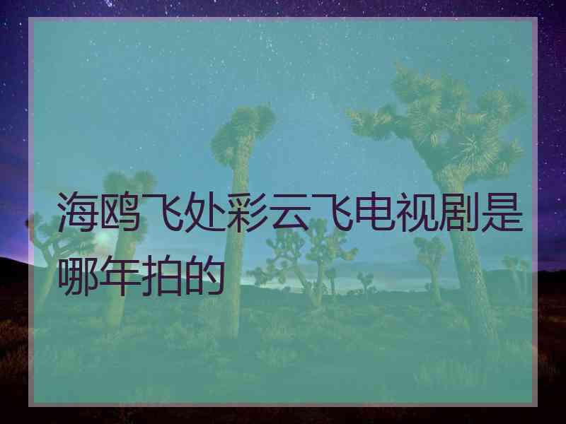 海鸥飞处彩云飞电视剧是哪年拍的