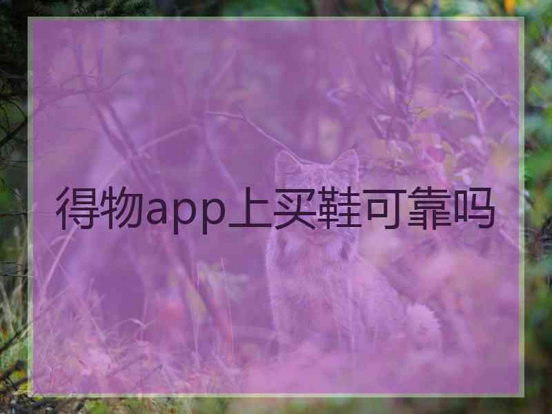 得物app上买鞋可靠吗