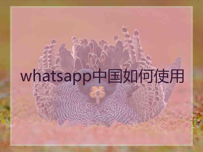whatsapp中国如何使用