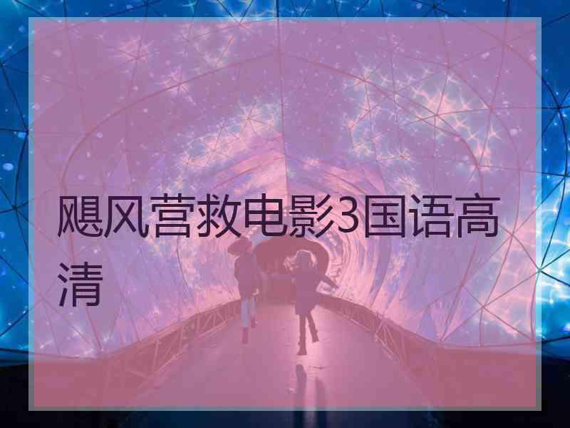 飓风营救电影3国语高清