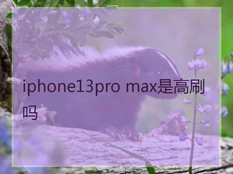 iphone13pro max是高刷吗