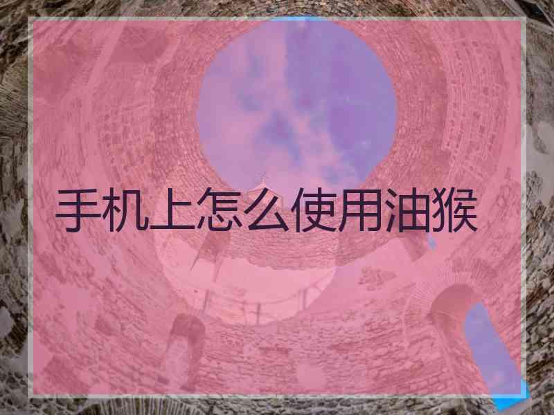 手机上怎么使用油猴