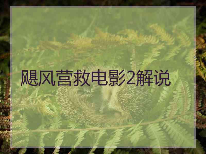 飓风营救电影2解说