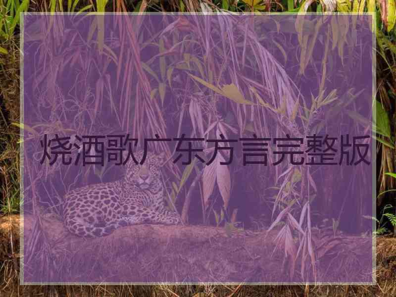 烧酒歌广东方言完整版