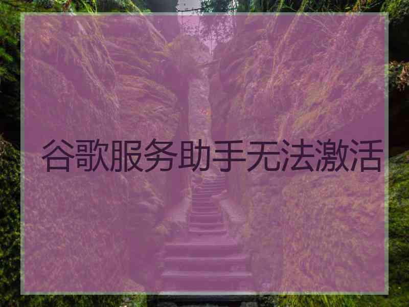 谷歌服务助手无法激活