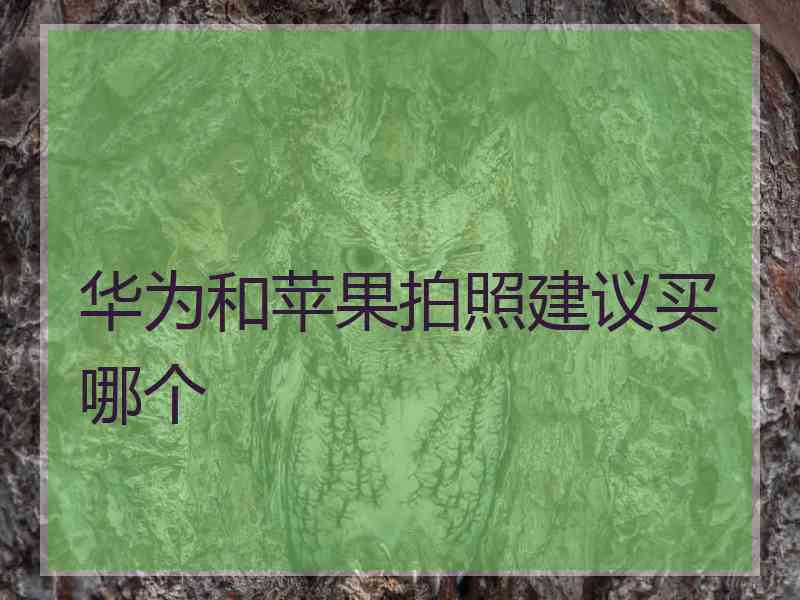 华为和苹果拍照建议买哪个