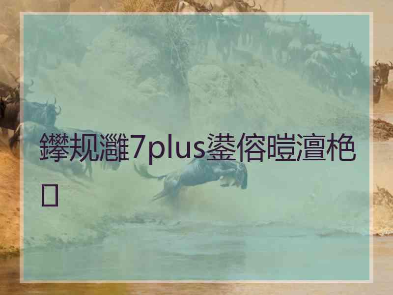 鑻规灉7plus鍙傛暟澶栬