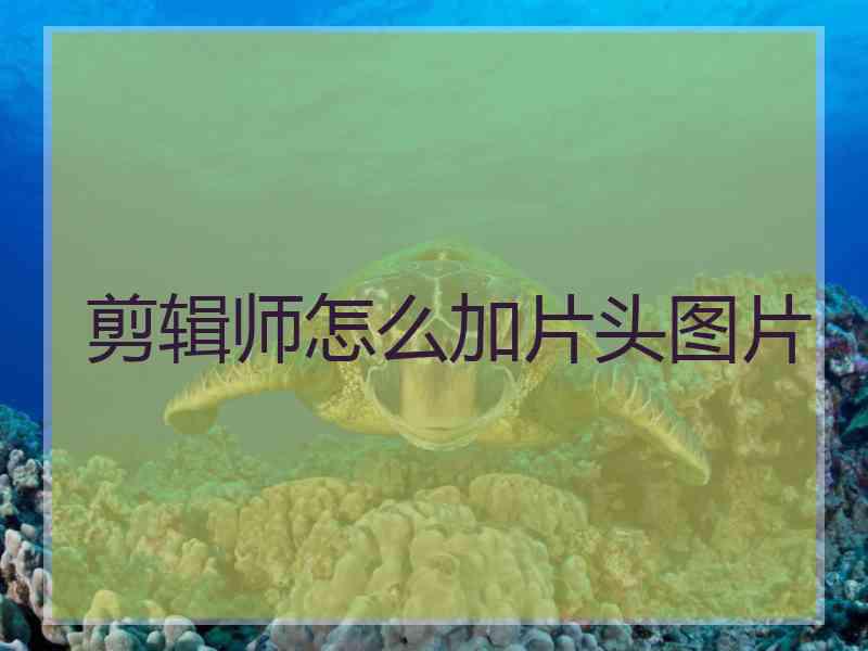 剪辑师怎么加片头图片