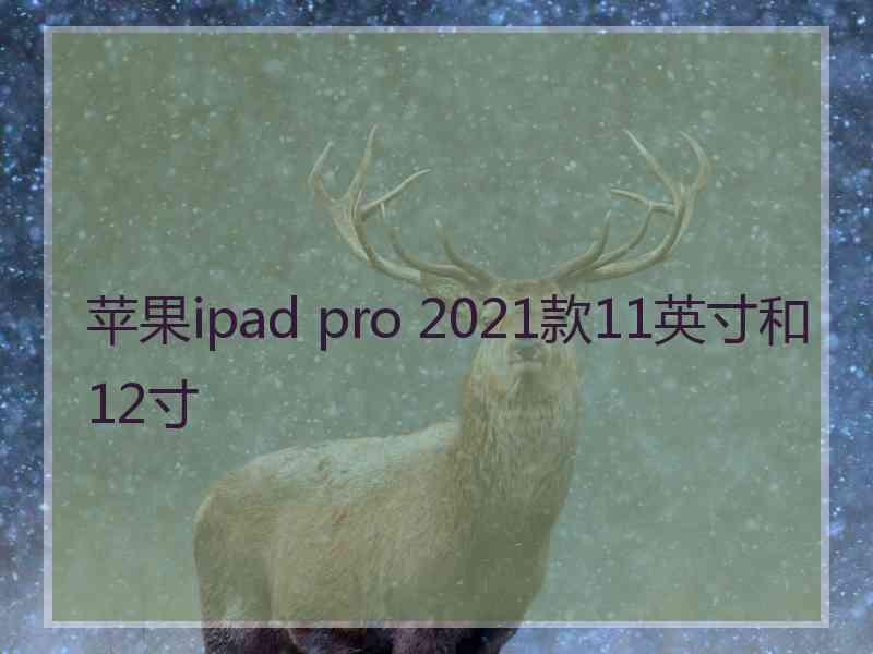苹果ipad pro 2021款11英寸和12寸