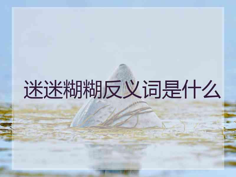 迷迷糊糊反义词是什么