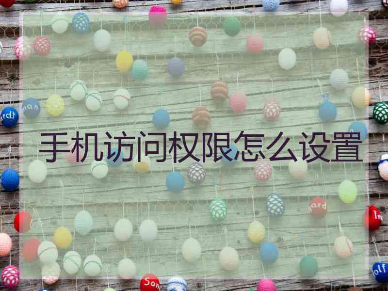 手机访问权限怎么设置