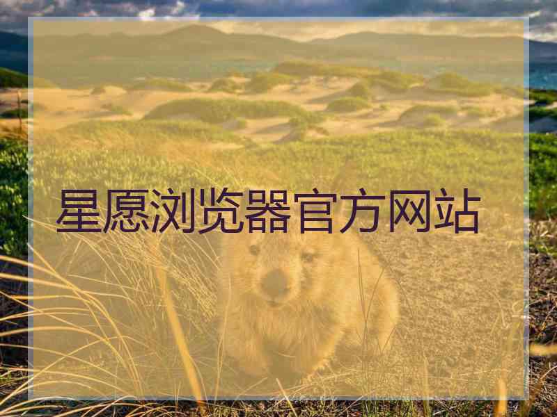 星愿浏览器官方网站