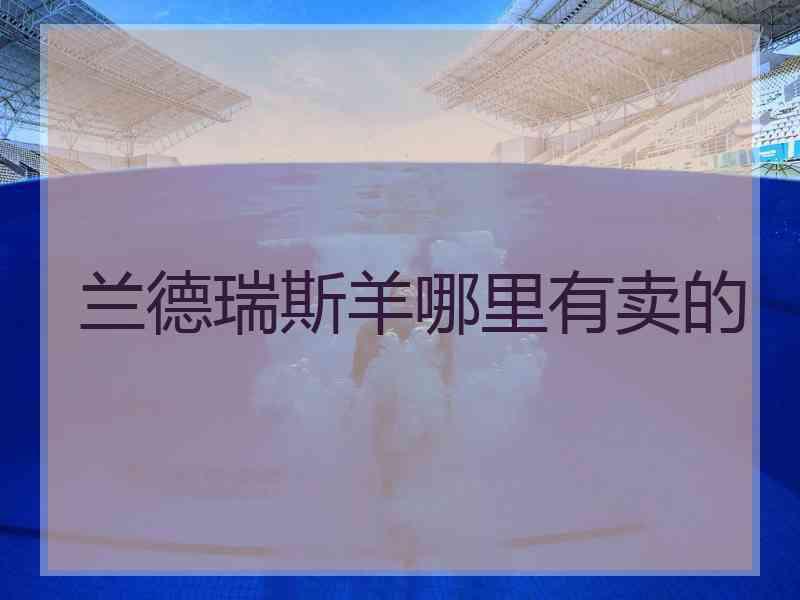 兰德瑞斯羊哪里有卖的