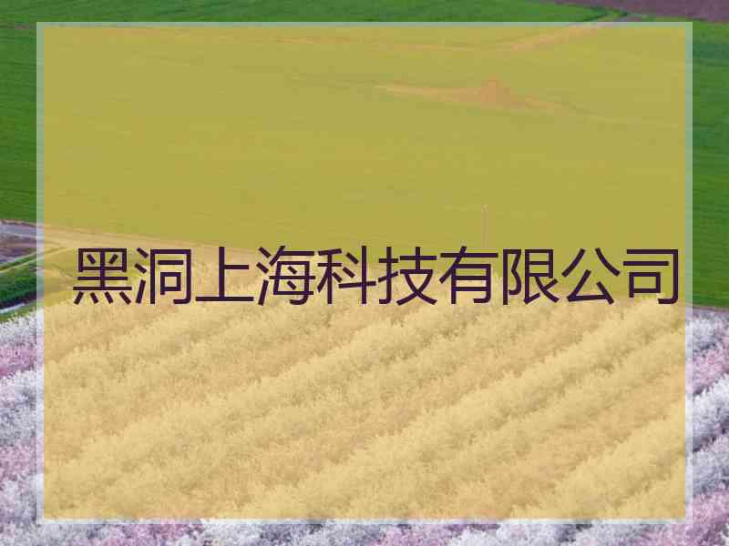 黑洞上海科技有限公司