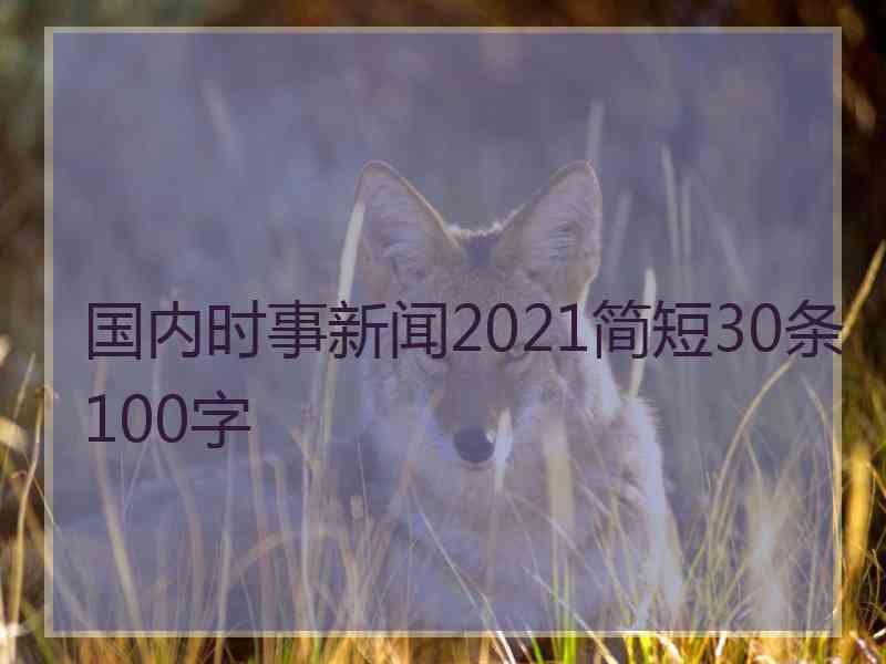 国内时事新闻2021简短30条100字