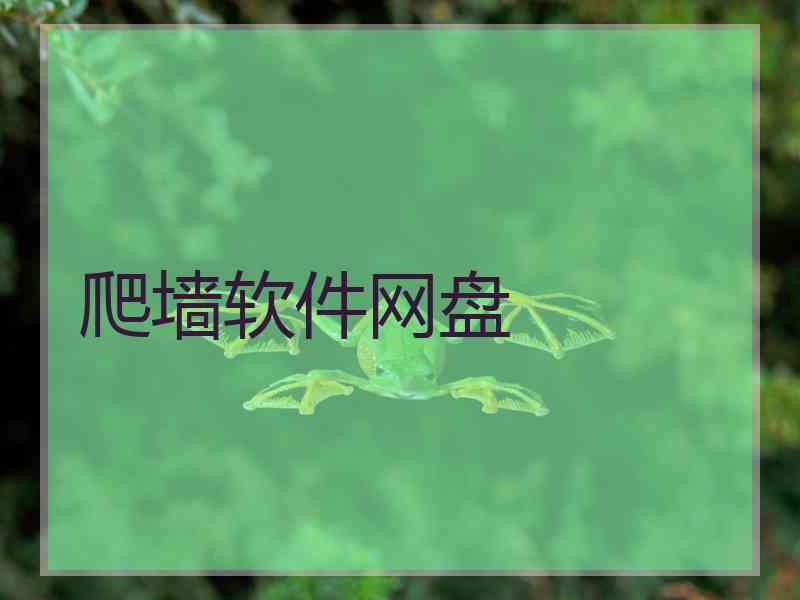 爬墙软件网盘