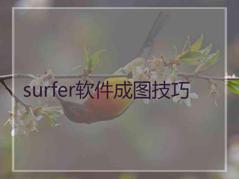 surfer软件成图技巧