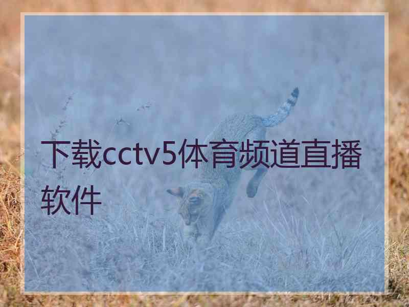 下载cctv5体育频道直播软件