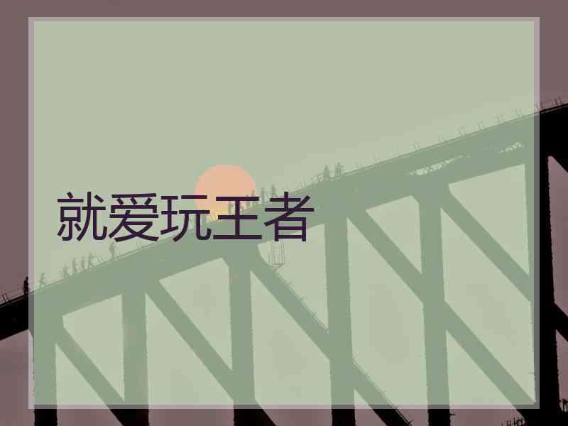 就爱玩王者