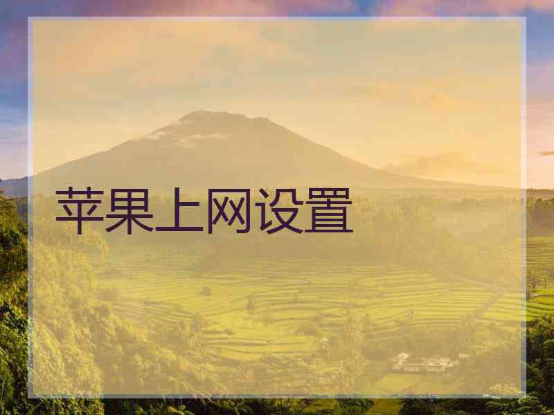 苹果上网设置