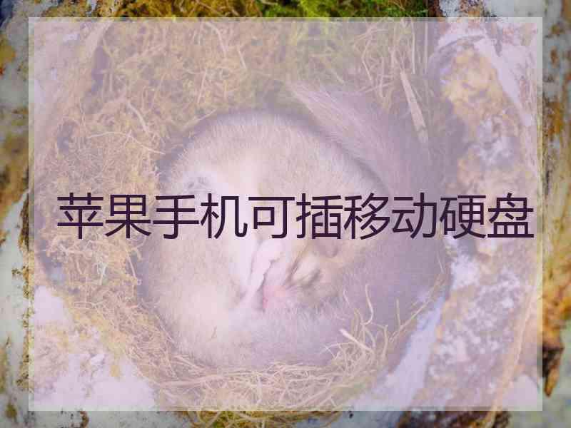 苹果手机可插移动硬盘