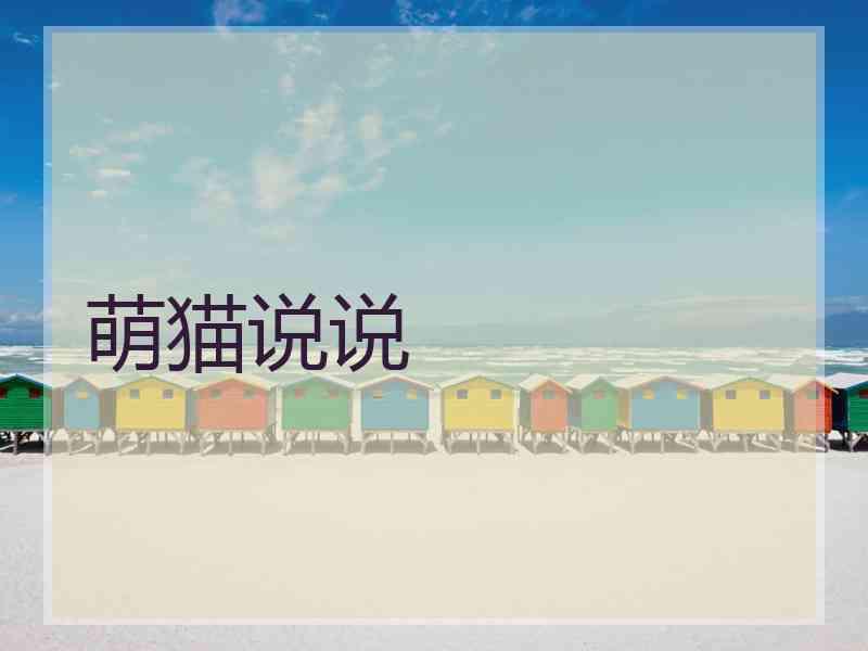 萌猫说说