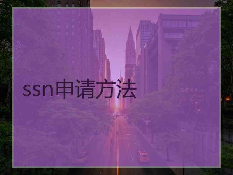 ssn申请方法