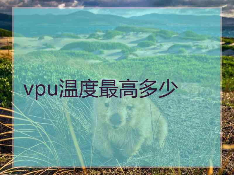 vpu温度最高多少
