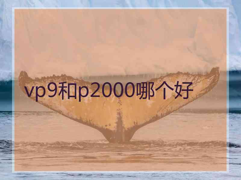 vp9和p2000哪个好