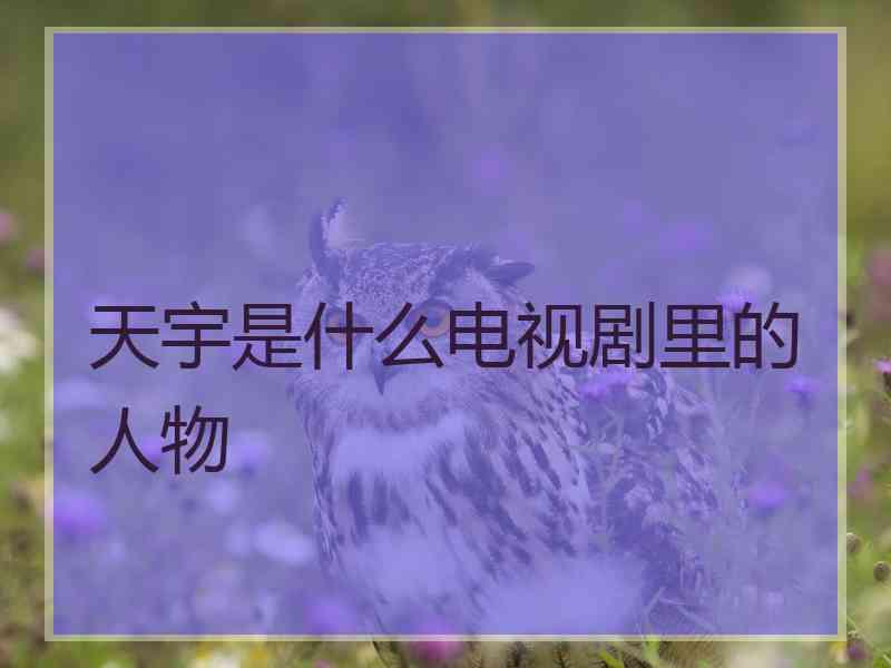 天宇是什么电视剧里的人物