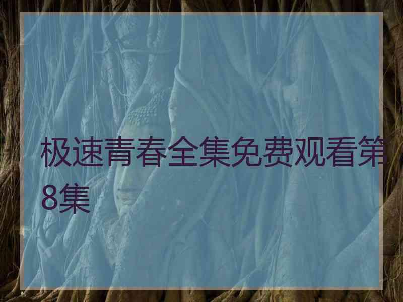 极速青春全集免费观看第8集