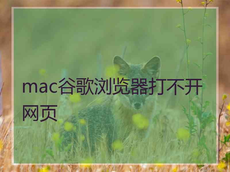 mac谷歌浏览器打不开网页