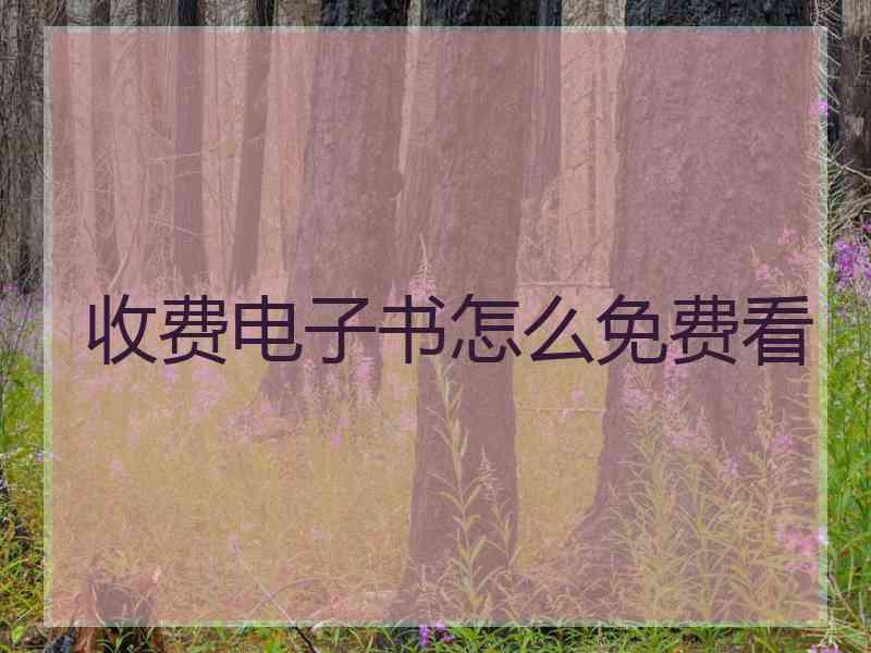 收费电子书怎么免费看