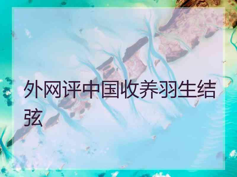 外网评中国收养羽生结弦