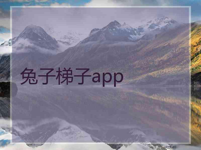 兔子梯子app