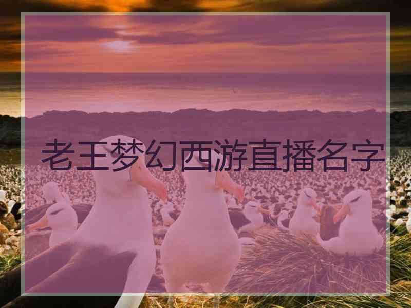 老王梦幻西游直播名字