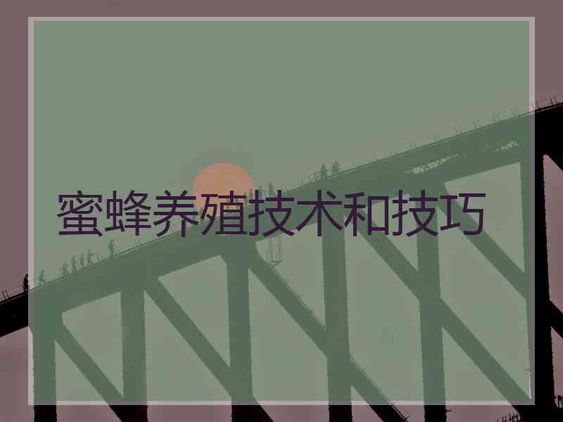 蜜蜂养殖技术和技巧