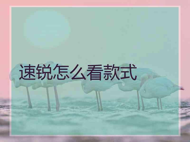 速锐怎么看款式