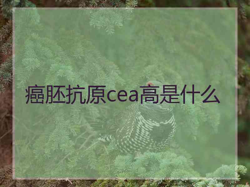 癌胚抗原cea高是什么