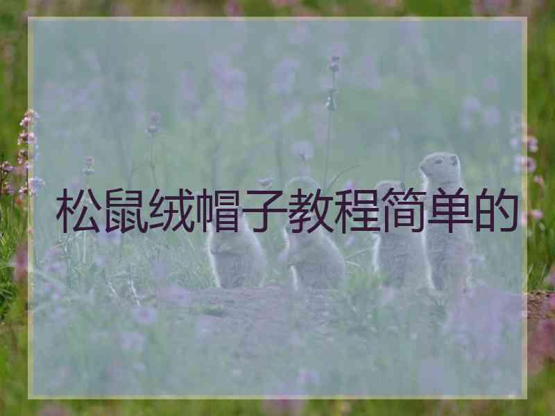松鼠绒帽子教程简单的