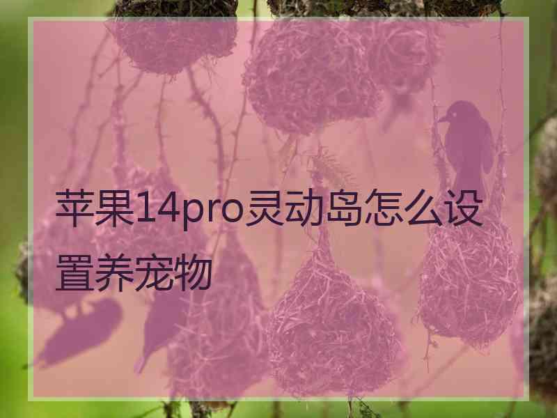 苹果14pro灵动岛怎么设置养宠物
