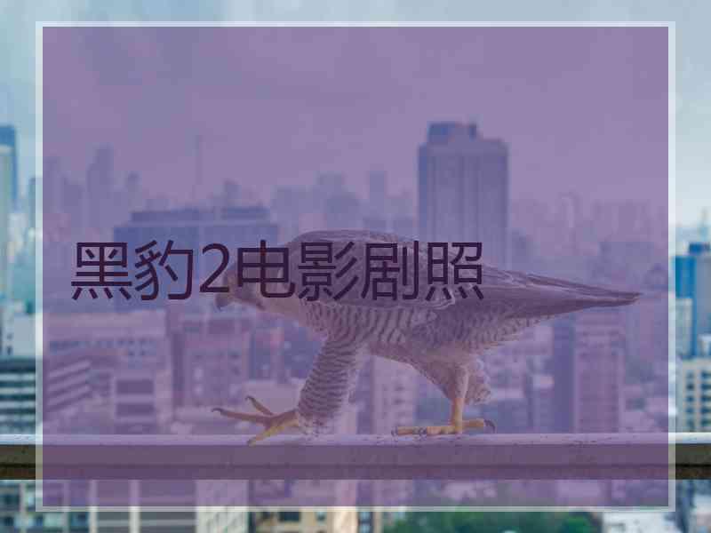 黑豹2电影剧照