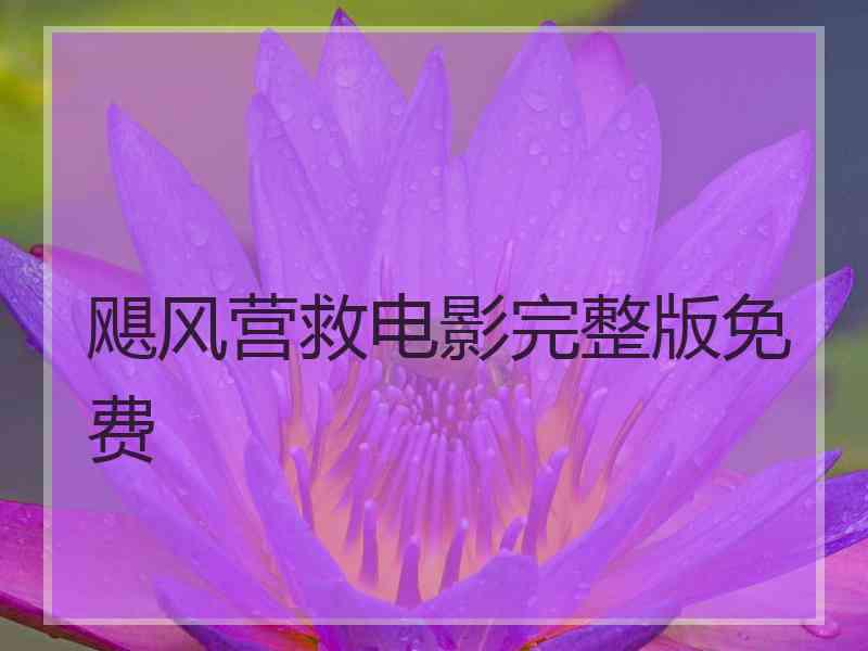 飓风营救电影完整版免费