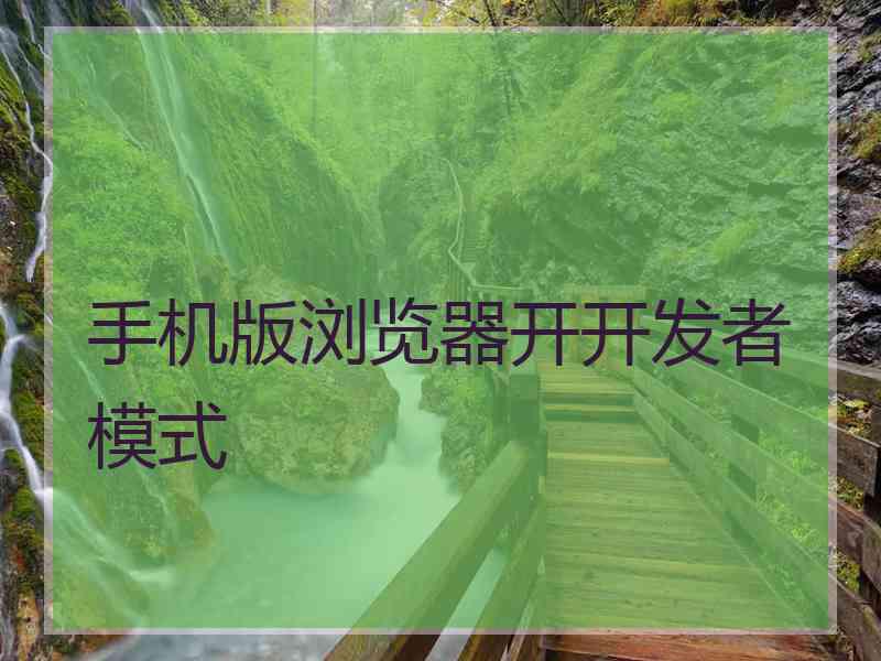 手机版浏览器开开发者模式
