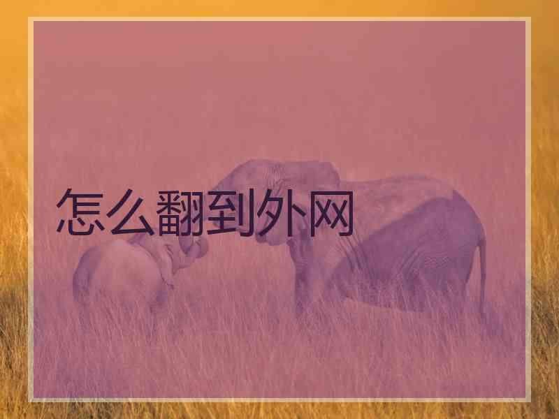 怎么翻到外网