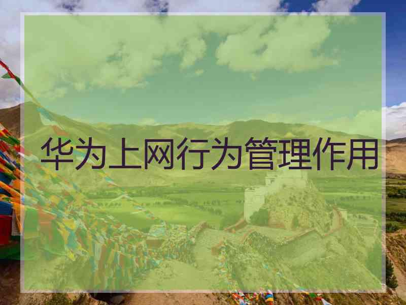华为上网行为管理作用