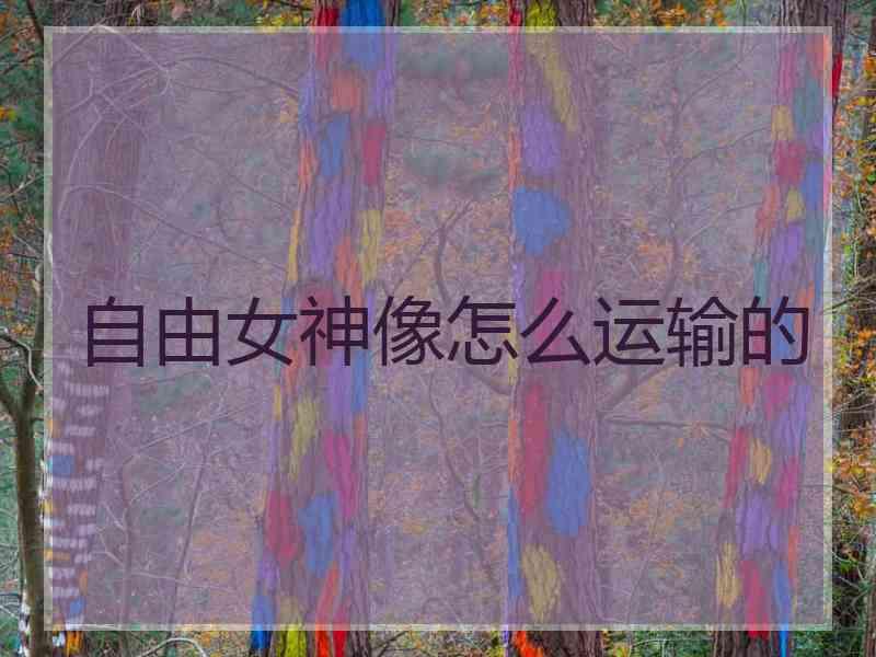 自由女神像怎么运输的