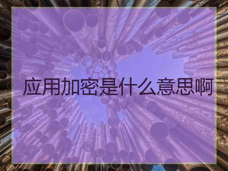 应用加密是什么意思啊
